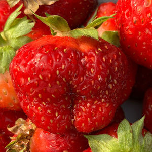 Meet your Posher, Violet